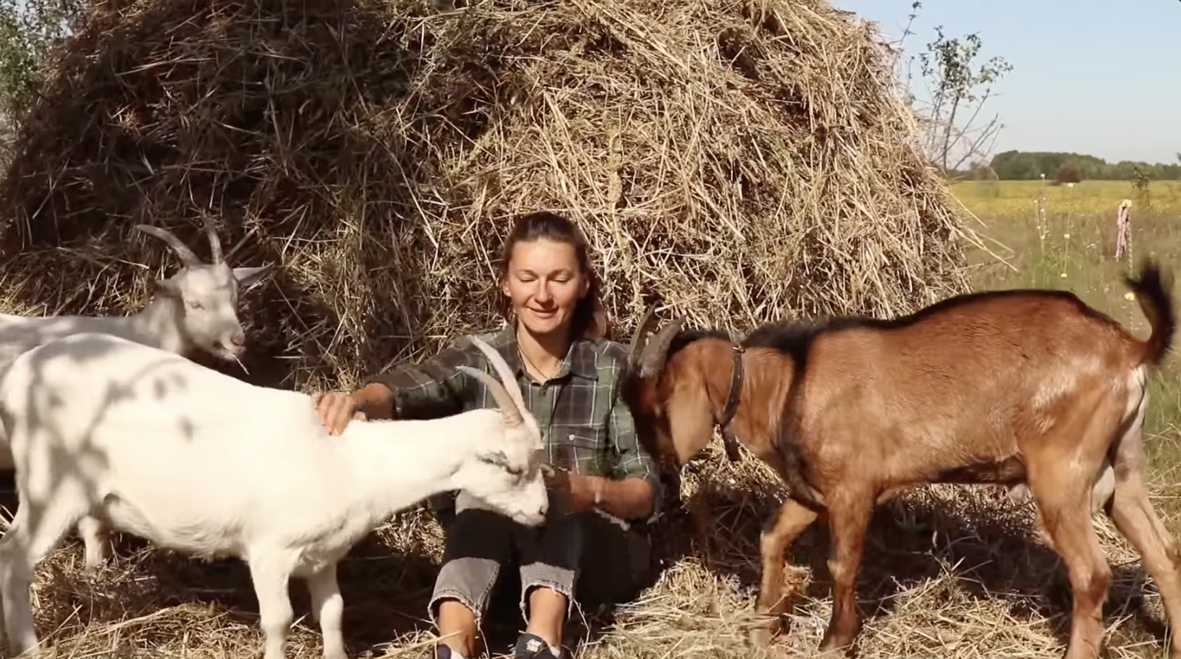 Пара переехала из Львова в сельский дом: "Люди не могли понять" (фото)