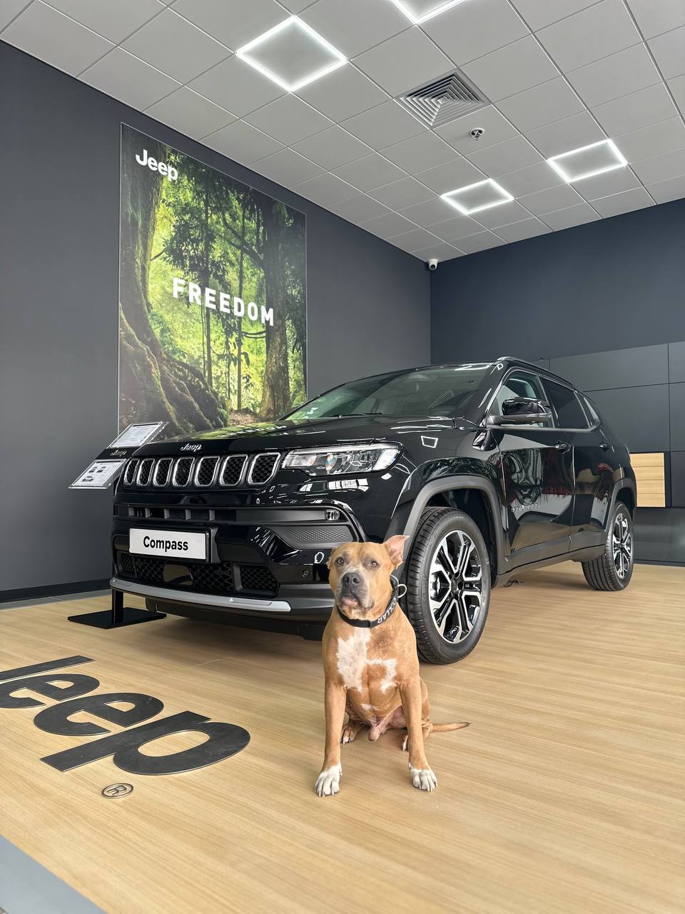 Сообщество Jeep-еров — традиции и мероприятия владельцев Jeep — тайное  приветствие водителей