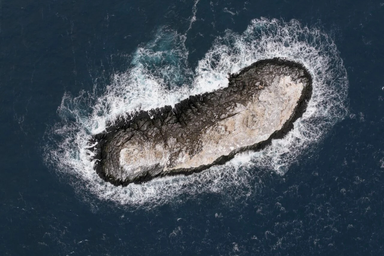 У небезпечній зоні Антарктиди знайдено невідомий раніше острів: його прийняли за брудний айсберг (фото)