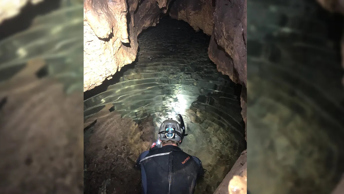 Скарб льодовикового періоду: у печері знайдено стародавню черепаху і броненосець розміром із лева (фото)