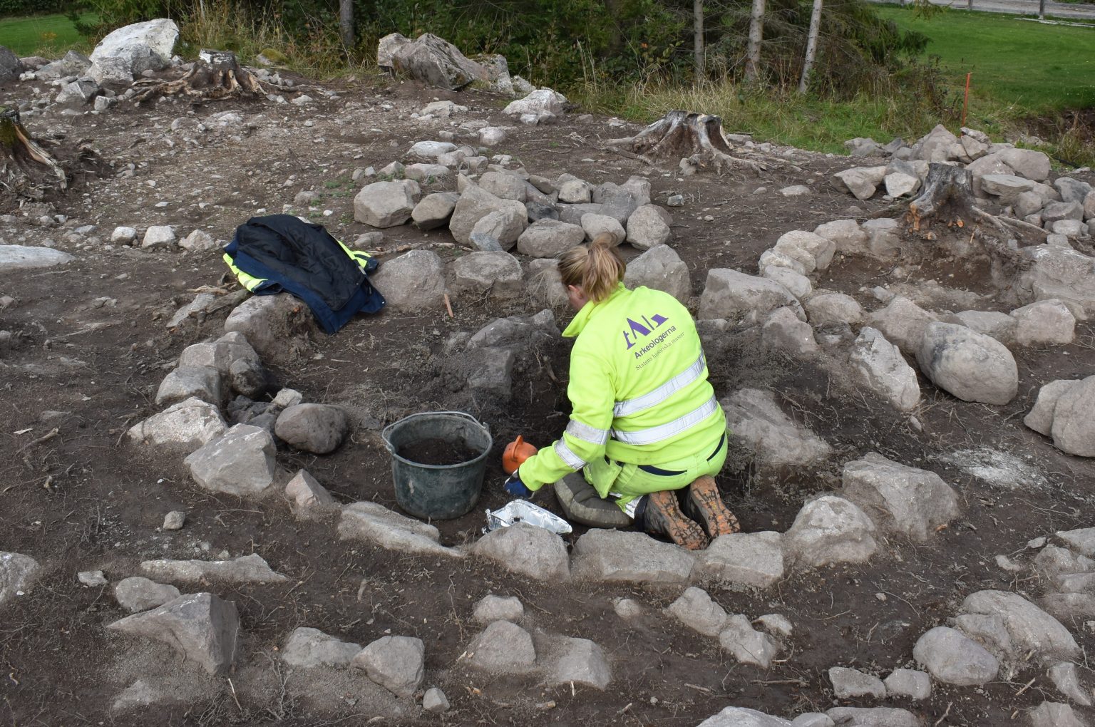 Рідкісна колекція: у Швеції археологи відкопали сотні артефактів часів епохи вікінгів (фото)