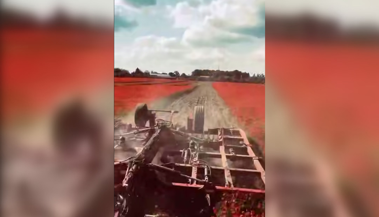 Скандал із фотосесіями в маках: фермер пояснив, чому переора