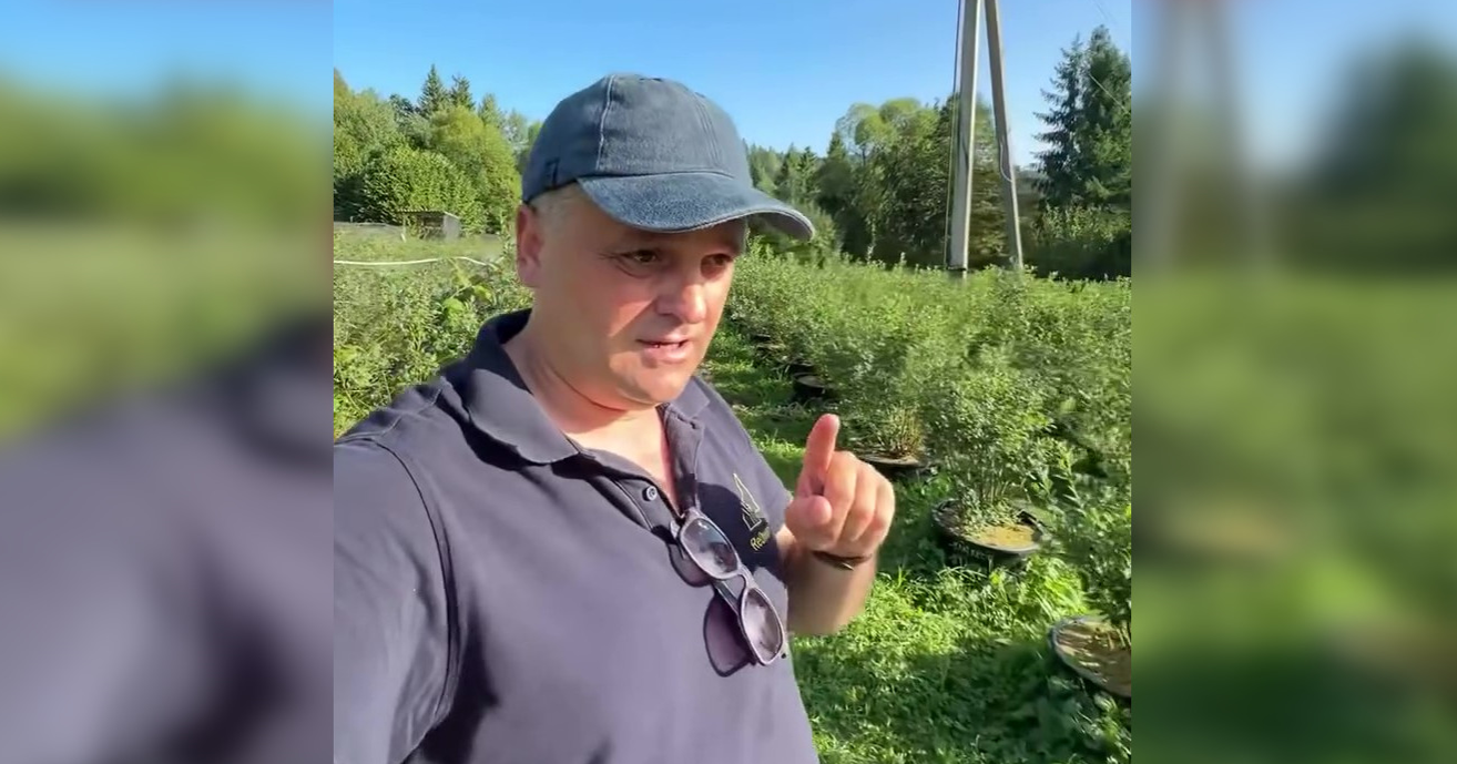 Посадив й став мільйонером: українець додумався, як заробляти у Карпатах (фото)