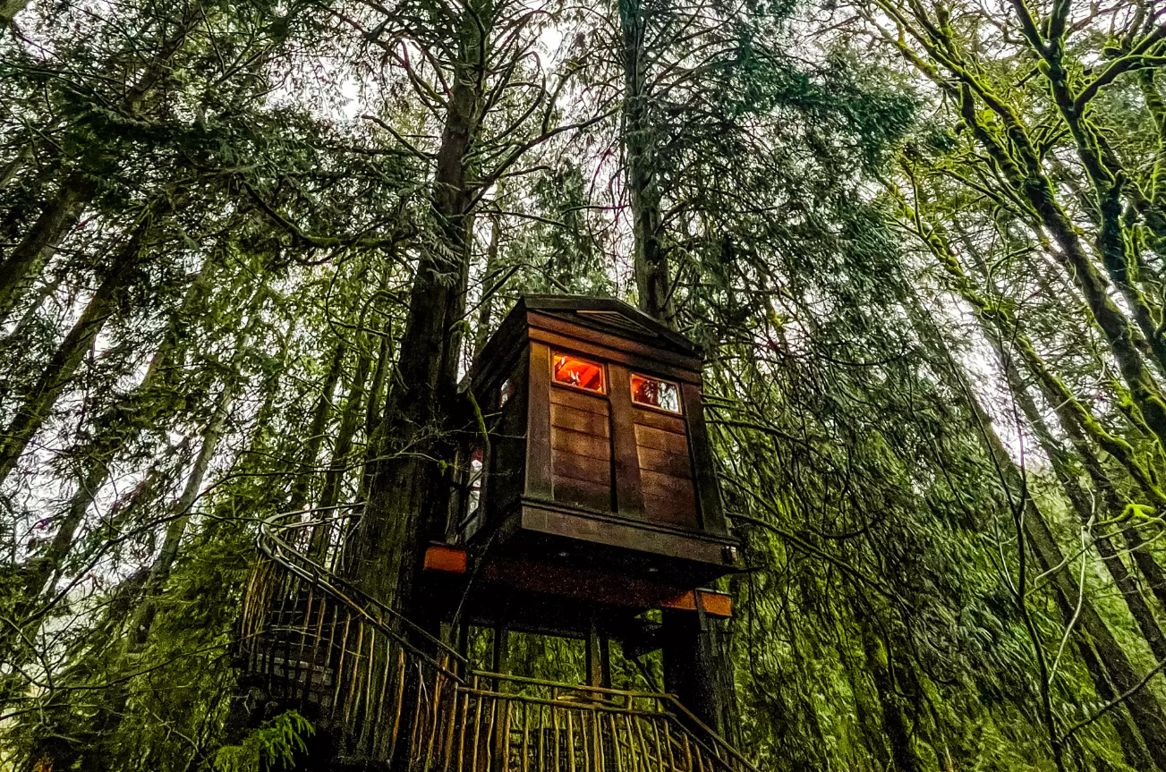 Домики на дереве в США — как выглядят роскошные домики изнутри — фото