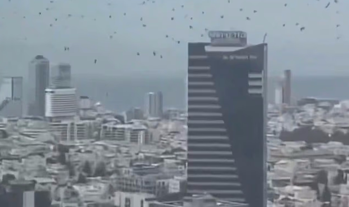 Провісники справжньої біди: тисячі ворон несподівано обліпили небосхил Тель-Авіва (відео)