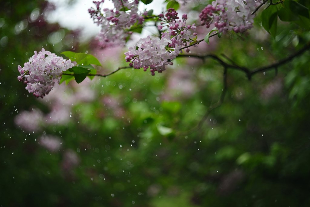 Україну накриють дощі, град і шквали: прогноз на неділю 26 квітня