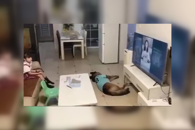 Батько залишив доньку вдома з собакою: побачене на камері здивувало його та мережу (відео)