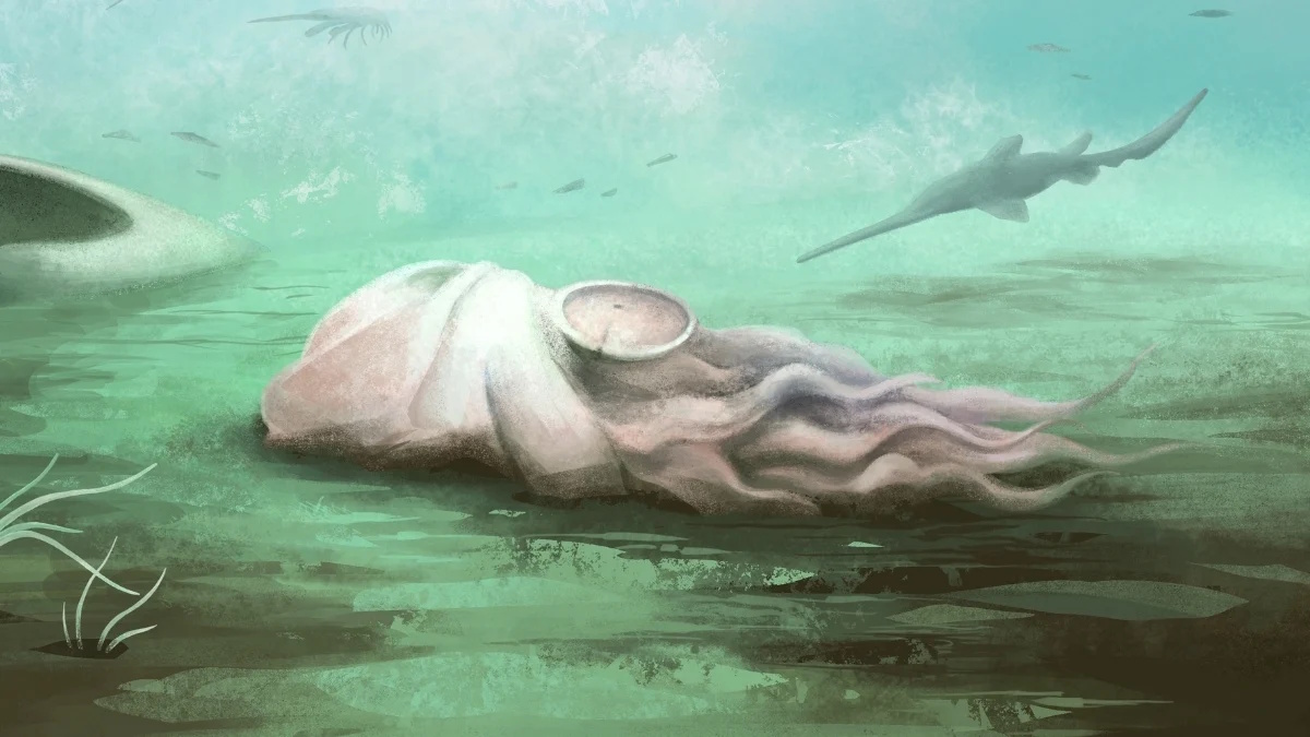 Найдавніший восьминіг у світі виявився підробкою: історію еволюції виду доведеться переписати (відео)