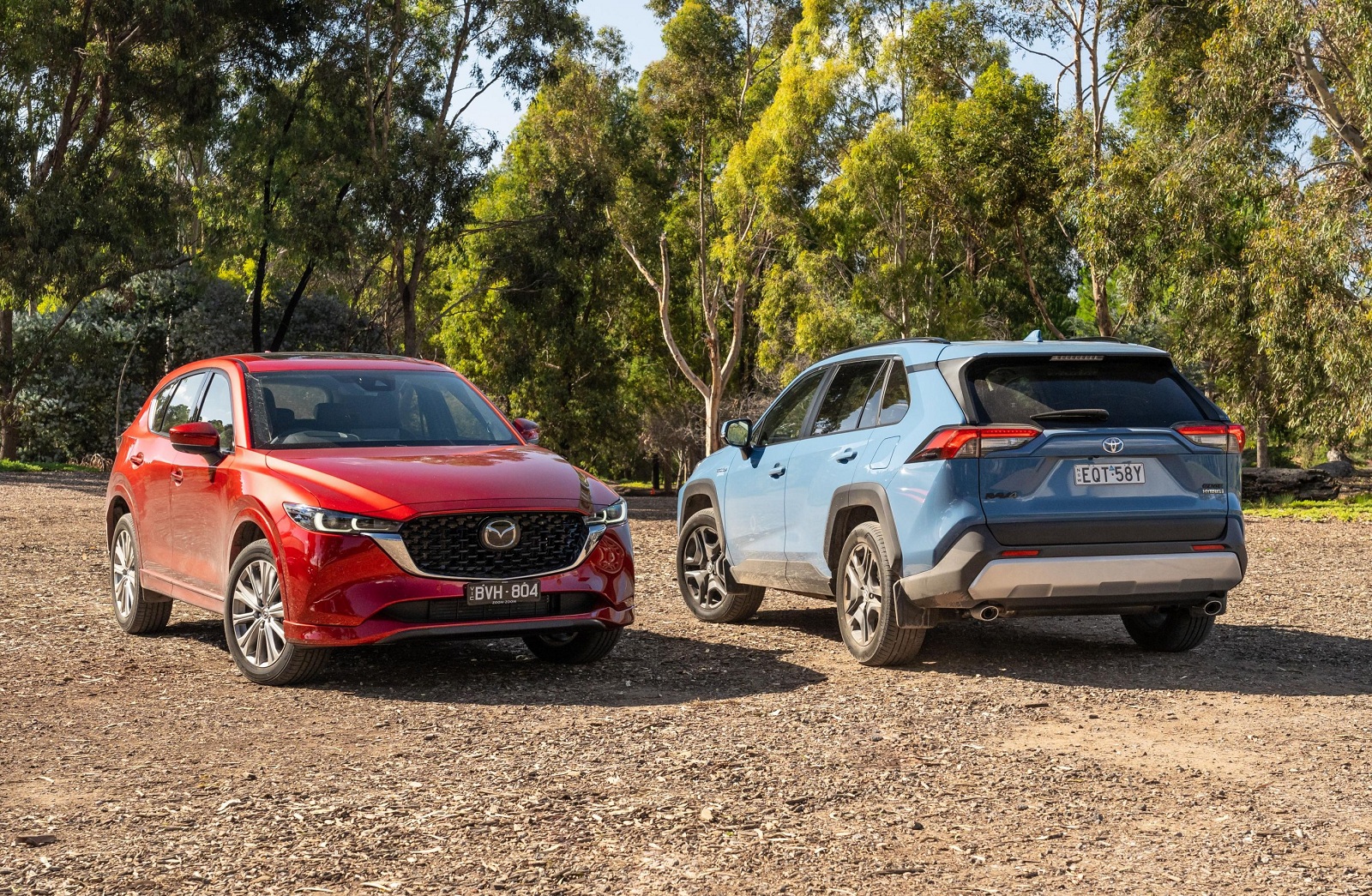 В Україні рекордний попит на кросовери: найпопулярніші моделі (фото)