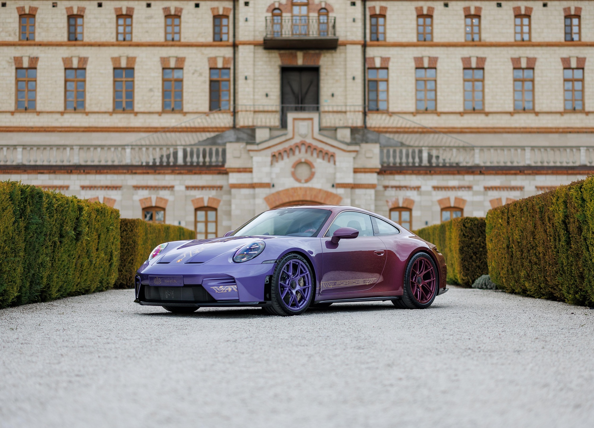 Дерево життя: Porsche випустила екстравагантний спорткар спеціально для Молдови (фото)