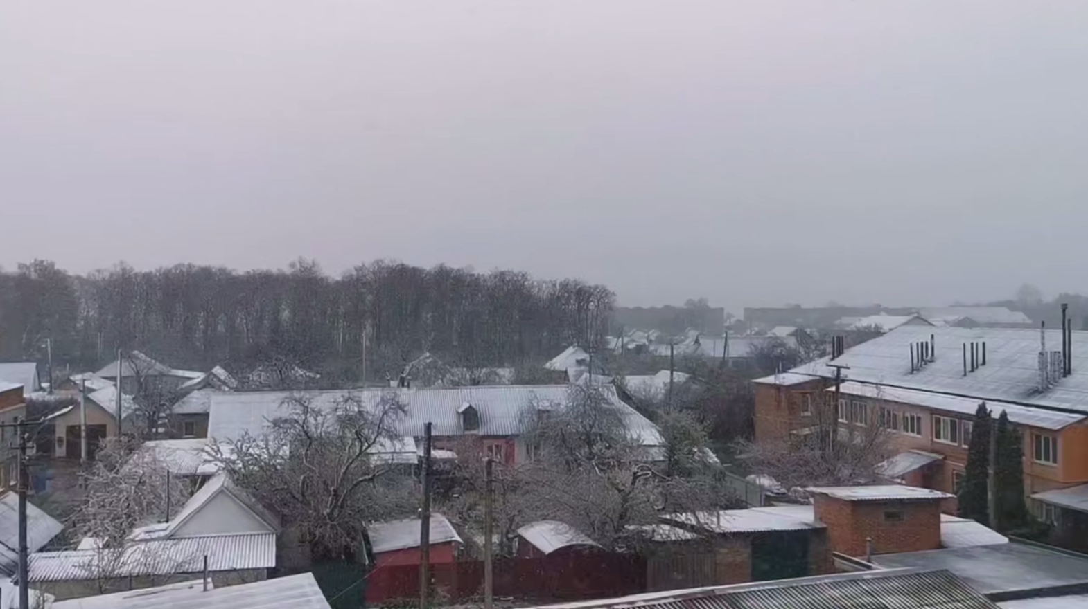 Квітень зі снігом: Україну накрили заморозки та різке похолодання (фото, відео)