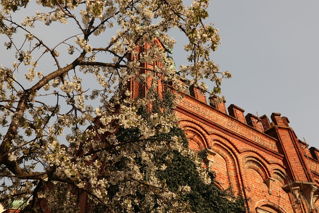 Фінський антициклон Quirin принесе потепління: Діденко розповіла, якою буде погода завтра