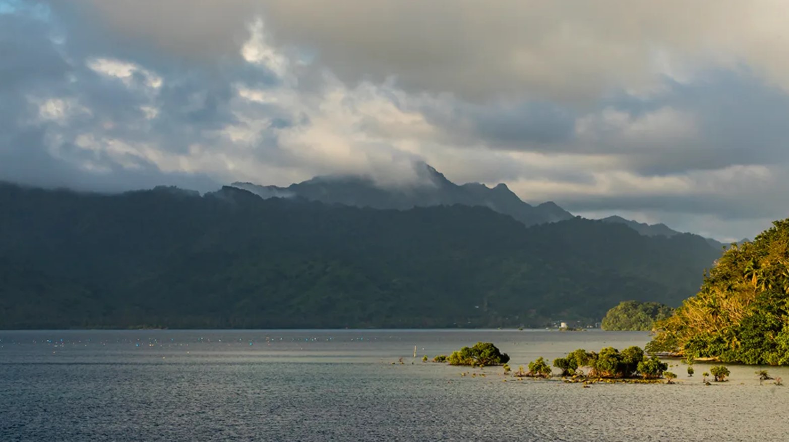 Новий острів виявлено в Тихому океані: його створили люди із залишків їжі 1200 років тому