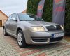 Завидная выносливость: обнаружен флагман Skoda с пробегом почти 900 тыс. км (фото)