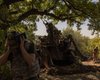 Артиллерия, авиабомбы и ракеты: военная журналистка рассказала о ситуации в Покровске (видео)