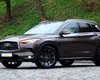 "Слуга" Гринчук задекларувала Infiniti як "сільгосптехніку за 200 тис гривень" (фото)