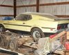 Рідкісний колекційний Ford Mustang 46 років простояв у занедбаному сараї (відео)