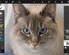 На iPad выпустили сенсорный Photoshop