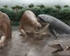 Вагою 1800 кг і 7 м завдовжки: найгрізніший крокодил у світі легко перекусив би шию носорога (фото)
