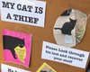 В Техасе обнаружили кошку, которая ворует вещи у своих соседей (видео)