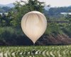 Сміттєва помста: КНДР запустила в Південну Корею 150 куль з гноєм і порізаним взуттям