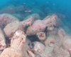 Круиз для любителей вина: найден затонувший 2000-летний корабль с сотнями винных кувшинов