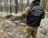 Снаряды к САУ и танкам: на Харьковщине обнаружили схрон с российскими боеприпасами (фото)