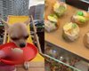 С "пивом" и холодцом в меню: в Киеве открыли первый фудтрак для собак (фото)