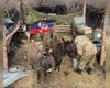 Допомога від Міноборони: ЗС РФ возять вантажі на віслюках і придумали їм камуфляж (фото, відео)