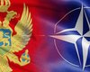 Проголосовавшим за НАТО политикам Черногории запретили въезд в Россию