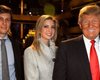 Ученые из Тернопольщины нашли историческую связь между Трампом и Украиной