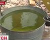 В Виннице из-за хрома вода окрасилась в зеленый цвет