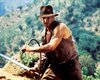 Артефакты под напряжением. 40 лет назад на экранах появился Индиана Джонс