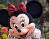 60-летнего американца осудили за приставание к Минни Маус