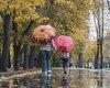 "Начнется похолодание": синоптик сообщила, когда ждать ухудшения погоды
