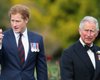 Первый шаг к примирению: состоялся тайный "мирный саммит" представителей принца Гарри и короля Чарльза (фото)