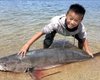 "Такое бывает раз в жизни": мальчик выловил морского окуня с себя ростом (видео)