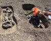 Похоронили с серебром, золотом и конем: в Румынии обнаружили могилу элитного аварского воина (фото)