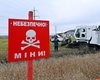 Меньше хлеба. Что посеют аграрии весной и грозит ли Украине продуктовый кризис