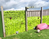 Жінка обшила весь паркан штучним листям, щоб не бачити своїх допитливих сусідів (фото)