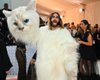 Джаред Лето, Lil Nas X и Доджа Кэт пришли на Met Gala 2023 в образах кошки Шупетт