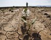 Реки мелеют, посевы гибнут: чем грозит Украине начавшаяся засуха