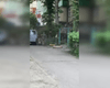 В Одессе неизвестный открыл огонь по военннослужащим ТЦК, — полиция (видео)