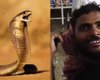 В Индии змея укусила мужчину, а он трижды укусил ее в ответ: что произошло дальше (фото)