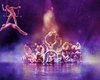 Cirque du Soleil из-за миллиардных убытков объявил о банкротстве