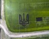 Гигантский тризуб из риса попал в Книгу рекордов Украины
