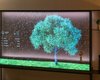 Прозорий телевізор без дротів Signature OLED T від LG здивував глибиною картинки