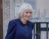 Королева Камилла посетила короля Чарльза ІІІ в больнице: как он себя чувствует (фото)