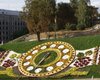 Из центра столицы убрали цветочные часы 