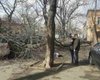 Ураган в Одессе: в центре города упавшее дерево убило человека